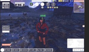 Networking in the Metaverse Lisa Peyton